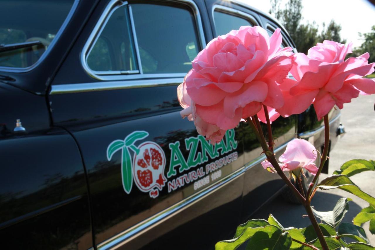 Nar Hotel Goycay Zewnętrze zdjęcie